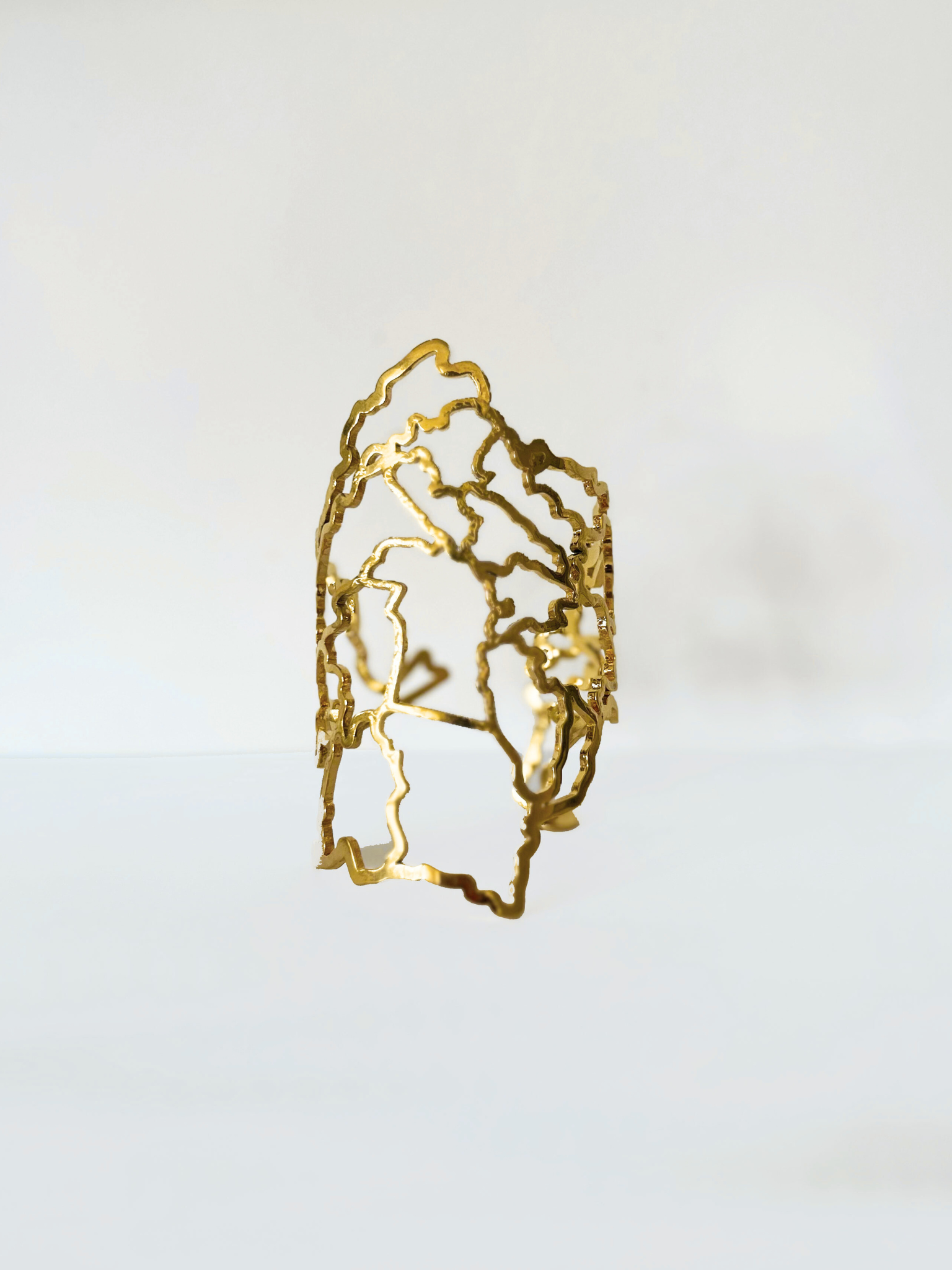 Selva Esmeralda - Colombia